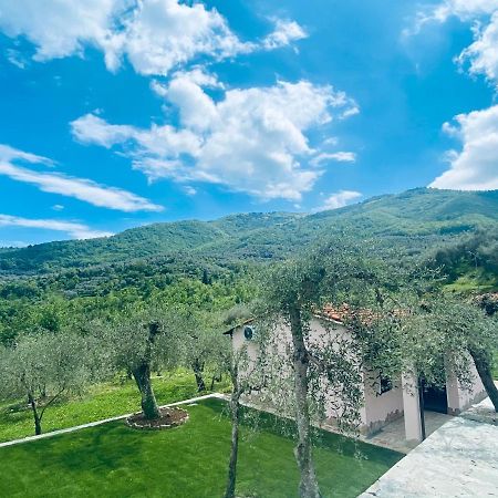 Borgomaro Casa Vacanze Gli Ulivi מראה חיצוני תמונה