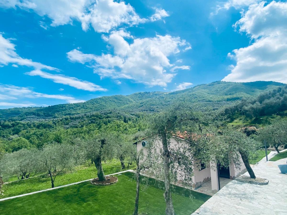 Borgomaro Casa Vacanze Gli Ulivi מראה חיצוני תמונה