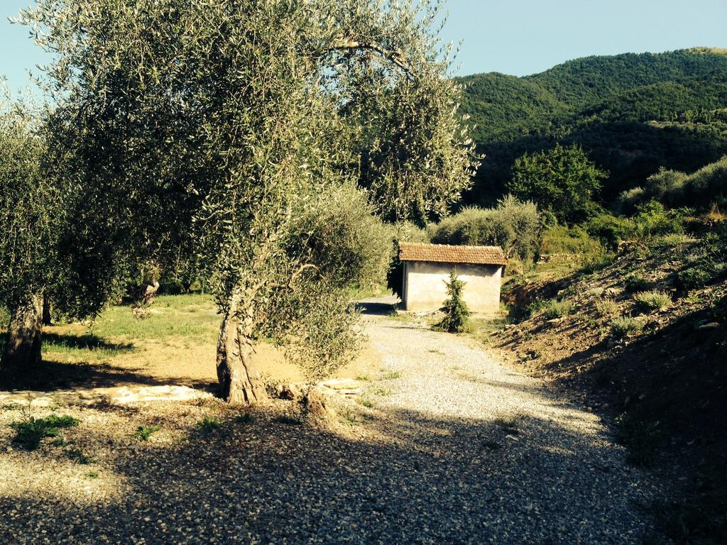 Borgomaro Casa Vacanze Gli Ulivi חדר תמונה